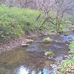 Pongracz Apartament