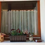Pongracz * Zirc