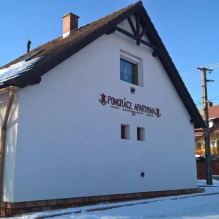 Pongracz Apartament Zirc