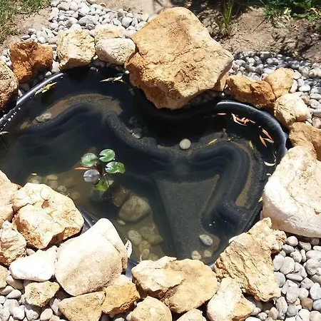 Pongrácz Apartamento *