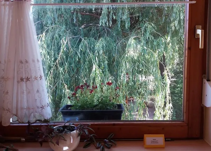Pongracz Зирц